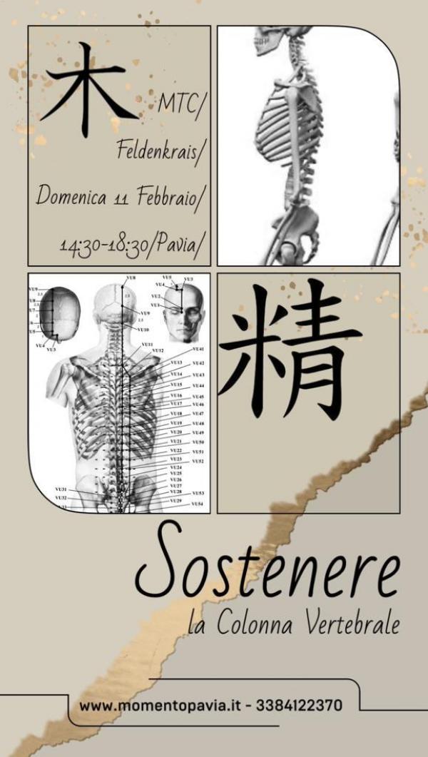 SOSTENERE-la-colonna-vertebrale